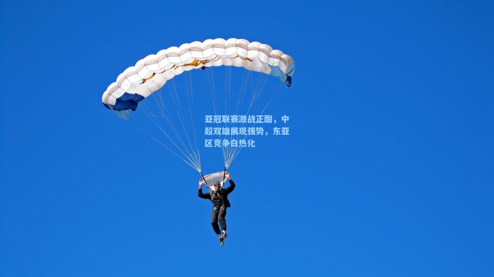 亚冠联赛激战正酣，中超双雄展现强势，东亚区竞争白热化
